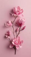 Pink Magnolia Branches On Pink photo