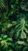 Lush Green Tropical Leaves Pattern photo