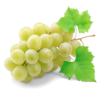 White Grapes with Green Leaves png
