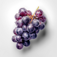 manojo de negro uvas png