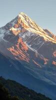 Golden Sunrise on Snowy Peak photo