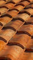 Terracotta Roof Tiles Close Up photo