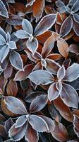 Frosted Autumn Leaves Pattern photo