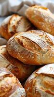 Artisanal Baked Bread Loaves photo