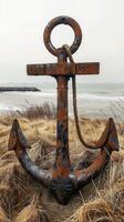 Rusty Anchor on Beach Grass photo