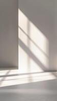 Minimalist Shadows On White Wall photo