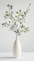 minimalista florero con eucalipto ramas foto