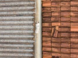 cat on house roof photo