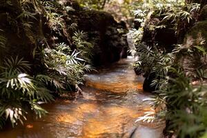 natural landscape of stream in canyon photo