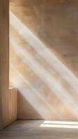 Sunbeams In A Rustic Hallway photo