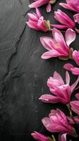 Pink Cyclamen Flowers On Dark Slate photo