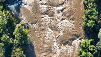 apore river with brown water and riparian forest during the day photo