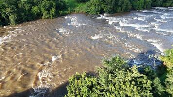 apore río con marrón agua y ribereño bosque durante el día foto