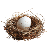 vogel nest met een ei Aan geïsoleerd transparant achtergrond png