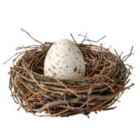 vogel nest met een ei Aan geïsoleerd transparant achtergrond png