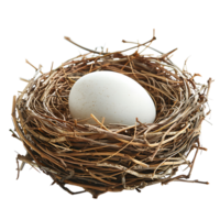 Bird nest with an egg on isolated transparent background png