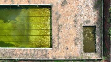 abandoned swimming pool with green dirty water photo