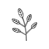 Hand drawn doodle sketch leaves vector