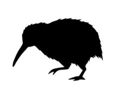 hand drawn kiwi bird silhouette vector