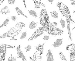 seamless pattern of hand drawn parrot vector