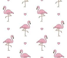 seamless pattern of hand draw pink flamingo vector