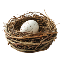 Bird nest with an egg on isolated transparent background png