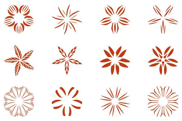 Botanical flower design set. Decorative floral