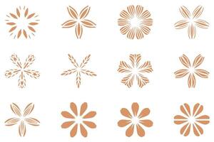 botánico flor diseño colocar. decorativo floral vector