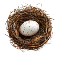 Bird nest with an egg on isolated transparent background png