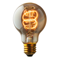 Tungsten electric bulb on isolated transparent background png
