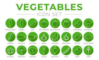 Green Vegetables Round Outline Icon Set of Parsey Root, Carrot, Chilli, Paprika, Pepper, Tomato, Cucumber, Mushroom, Spinach, Zucchini, Eggplant, Garlic, Onion, Potato, Tomato, Cauliflower, Bean vector