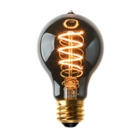 Tungsten electric bulb on isolated transparent background png