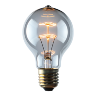 Tungsten electric bulb on isolated transparent background png