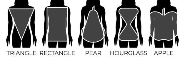 Woman Body Shapes Triangle, Rectangle, Apple, Pear and Hourglass Black and White Illustration vector