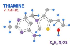 Thiamine Vitamin B1 Molecule Structure Illustration vector