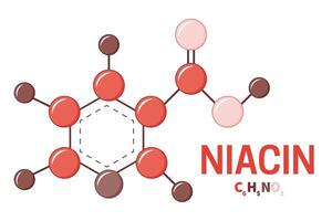 Niacin or Vitamin B3 Molecule Structure Illustration vector