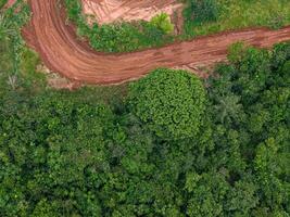 top view of forest and dirt road photo