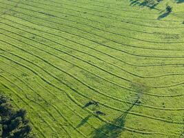 pasture area with contour lines in field photo