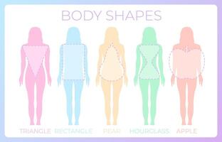 Woman Body Shape Background Illustration vector