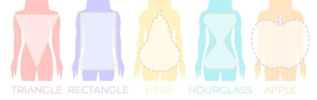 Woman Body Shapes Triangle, Rectangle, Apple, Pear and Hourglass Illustration vector