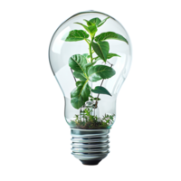 Lightbulb with plant inside on isolated transparent background png