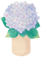 ritad för hand blomning blomma - vår blomma illustration png