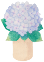 handgemalt Blühen Blume - - Frühling Blume Illustration png