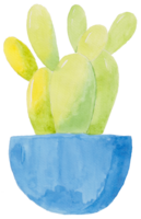 carino acquerello pianta clipart - Scarica botanico illustrazione png