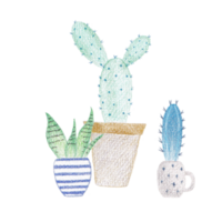 Cute Watercolor Cactus Clipart - Download Succulent Illustration png