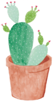 Cute Watercolor Plant Clipart - Download Botanical Illustration png