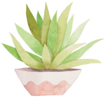 Cute Watercolor Plant Clipart - Download Botanical Illustration png