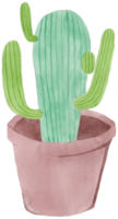 linda acuarela planta clipart - descargar botánico ilustración png