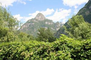 A view of the Austrian Mountains in the summer photo