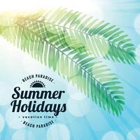 summer holidays beach paradise leaves background vector